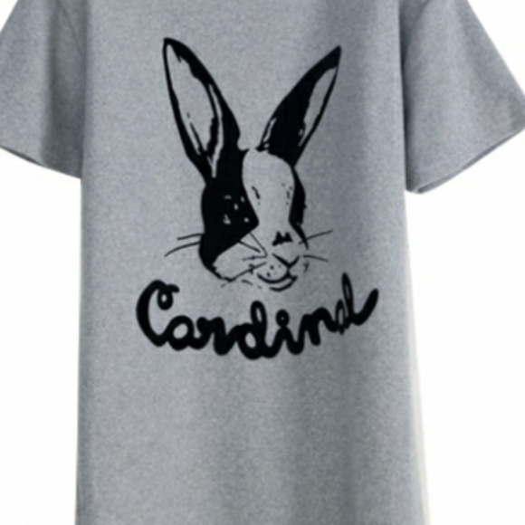 3/$20 Lazer Heaven Cardinal Flocked T-Shirt - S - Picture 2 of 7